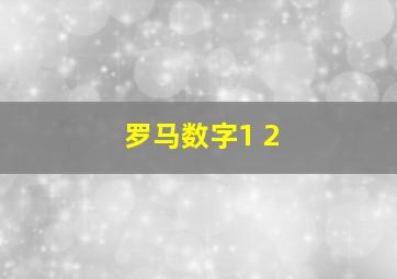 罗马数字1 2